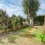 T3 Climatise Avec Parking, Proche - Fr-1-816-25 Bormes-les-Mimosas